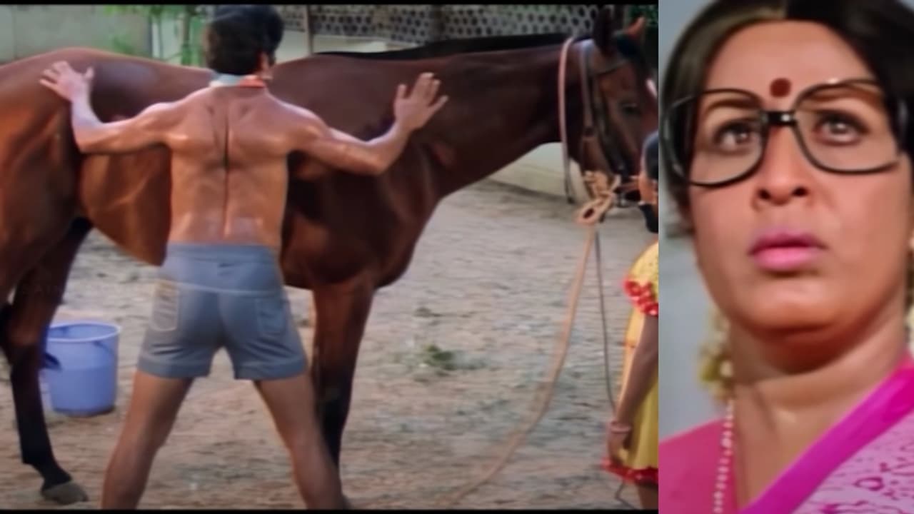 നായകൻ ജയൻ, 1979ലെ സൂപ്പർ ഹിറ്റ് ചിത്രം; ശരപഞ്ജരം ഏപ്രിൽ 25ന് തിയറ്ററിൽ, ട്രെയിലർ എത്തി