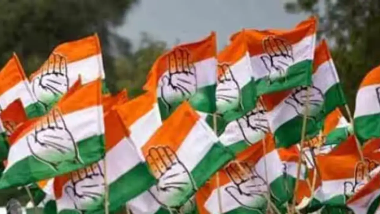Congress flag