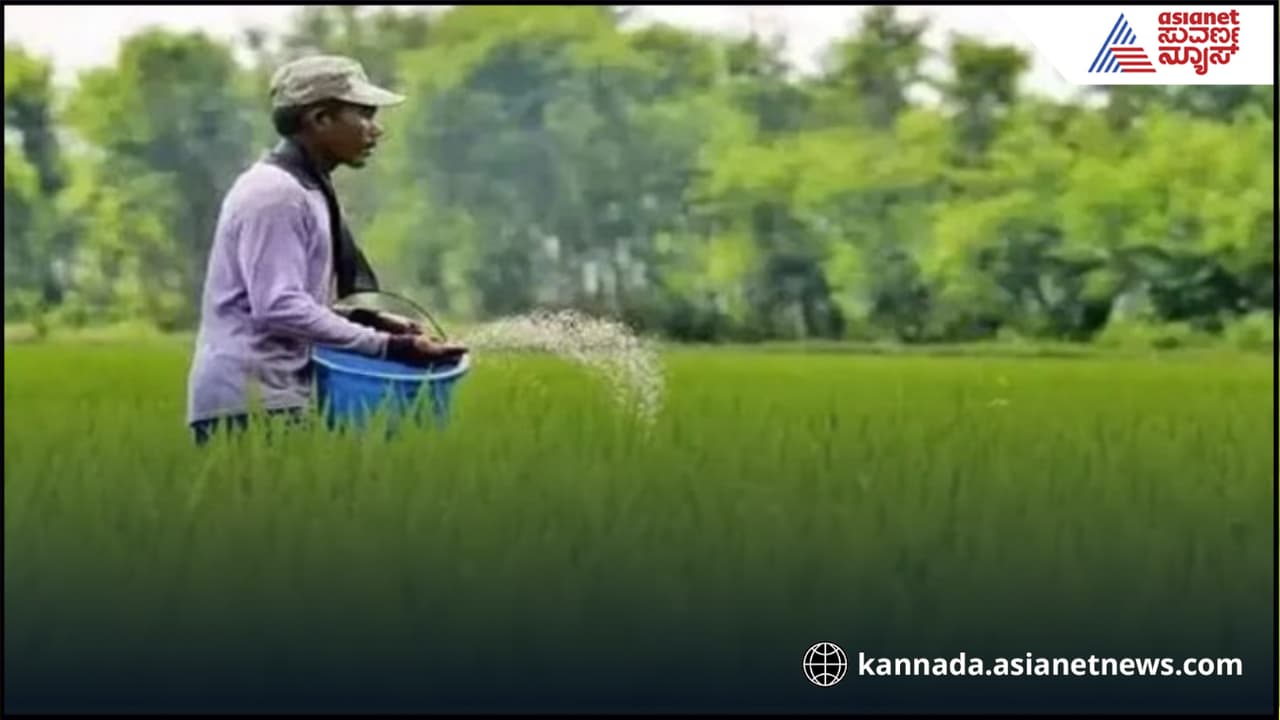 ಮೆಟಲ್ ಮಾಲಿನ್ಯದಿಂದ ವಿಷಕಾರಿಯಾದ ಮಣ್ಣು, ಅಪಾಯದಲ್ಲಿ 1.4 ಬಿಲಿಯನ್ ಜನ ಮೆಟಲ್ ಮಾಲಿನ್ಯದಿಂದ ವಿಷಕಾರಿಯಾದ ಮಣ್ಣು, ಅಪಾಯದಲ್ಲಿ 1.4 ಬಿಲಿಯನ್ ಜನ