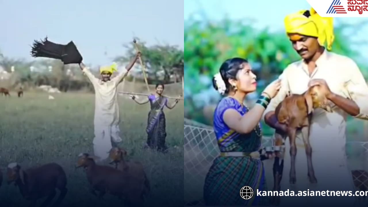 ಫ್ಯಾಷನ್ ಡ್ರೆಸ್ ಬಿಟ್ಟು, ಅಪ್ಪಟ ಗ್ರಾಮೀಣ ಸೊಗಡಿನ ಕುರಿಗಾಹಿ ವೇಷದಲ್ಲಿ ವಧ ವರರ ಪ್ರೀ ವೆಡ್ಡಿಂಗ್ ಶೂಟ್ ವೈರಲ್!