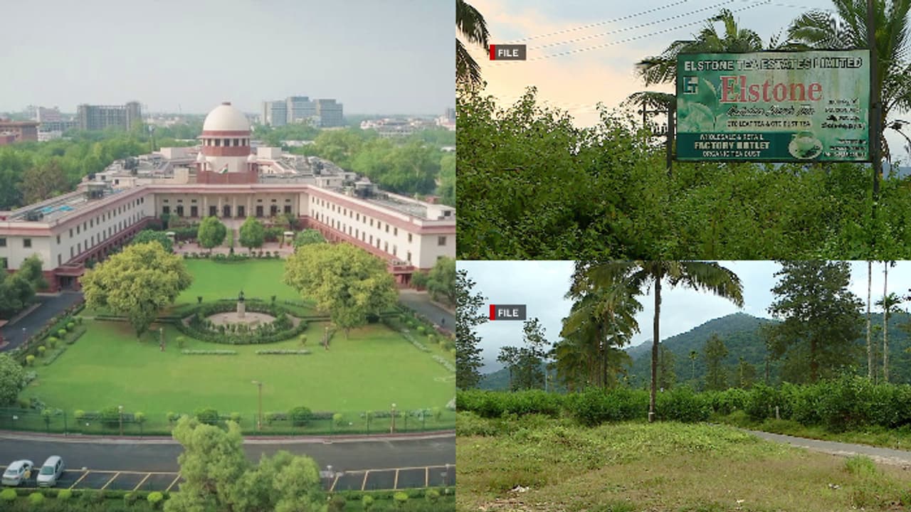 വയനാട് പുനരധിവാസം: ഭൂമി ഏറ്റെടുത്തതില്‍ സര്‍ക്കാരിന് ആശ്വാസം, എല്‍സ്റ്റണ്‍എസ്റ്റേറ്റിന് കോടതിയില്‍ തിരിച്ചടി