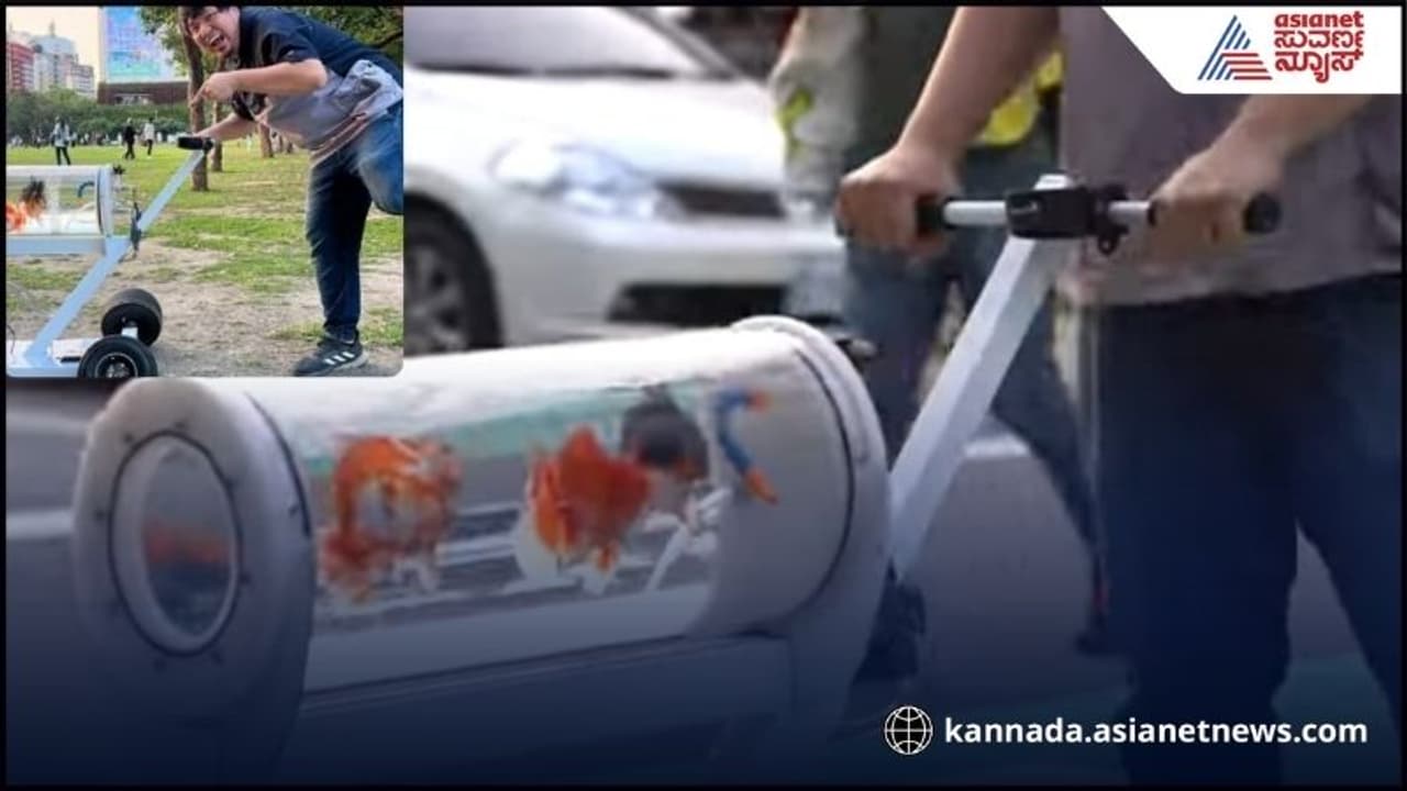 ಮೀನುಗಳ ಜೊತೆ ವಾಕಿಂಗ್ ಬರ್ತಾನೆ ಈ ವ್ಯಕ್ತಿ! ಮೀನುಗಳ ಜೊತೆ ವಾಕಿಂಗ್ ಬರ್ತಾನೆ ಈ ವ್ಯಕ್ತಿ!