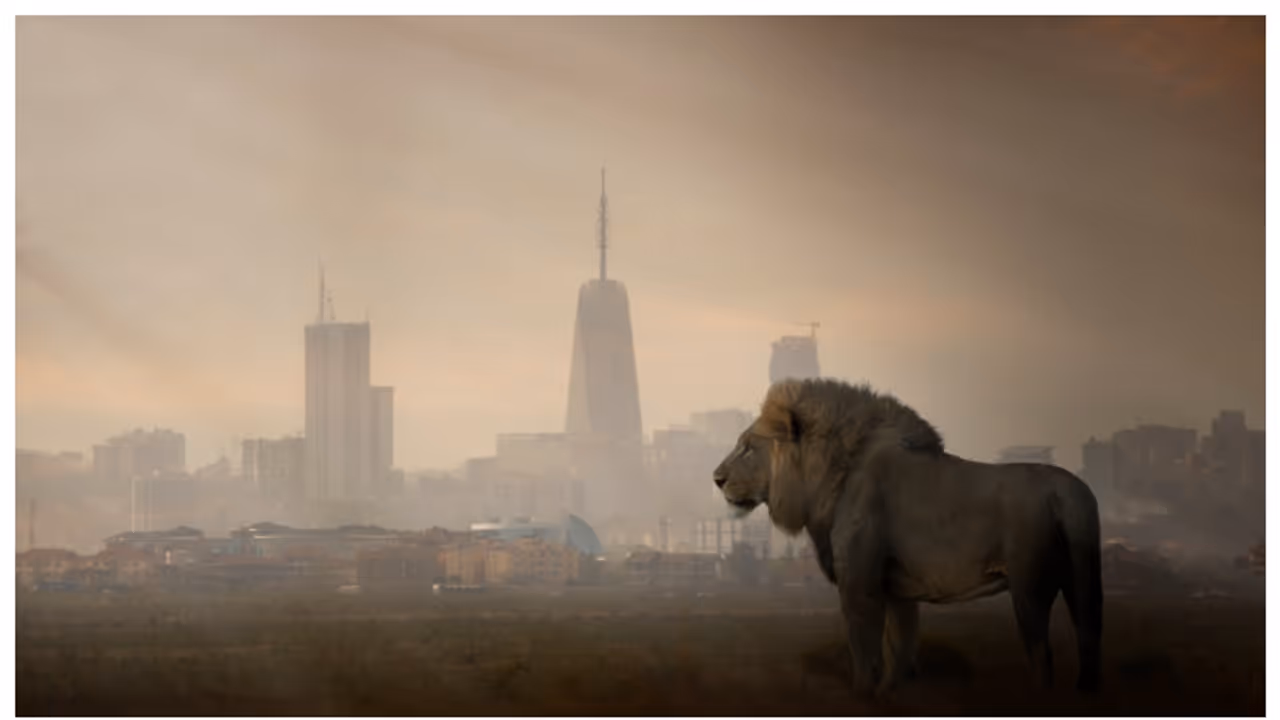 ദേശീയ പാര്‍ക്കില്‍ നിന്നും പുറത്ത് കടന്ന സിംഹം, വീട്ടില്‍ കയറി 14 കാരിയെ കടിച്ച് കൊന്നു; സംഭവം കെനിയയില്‍ 