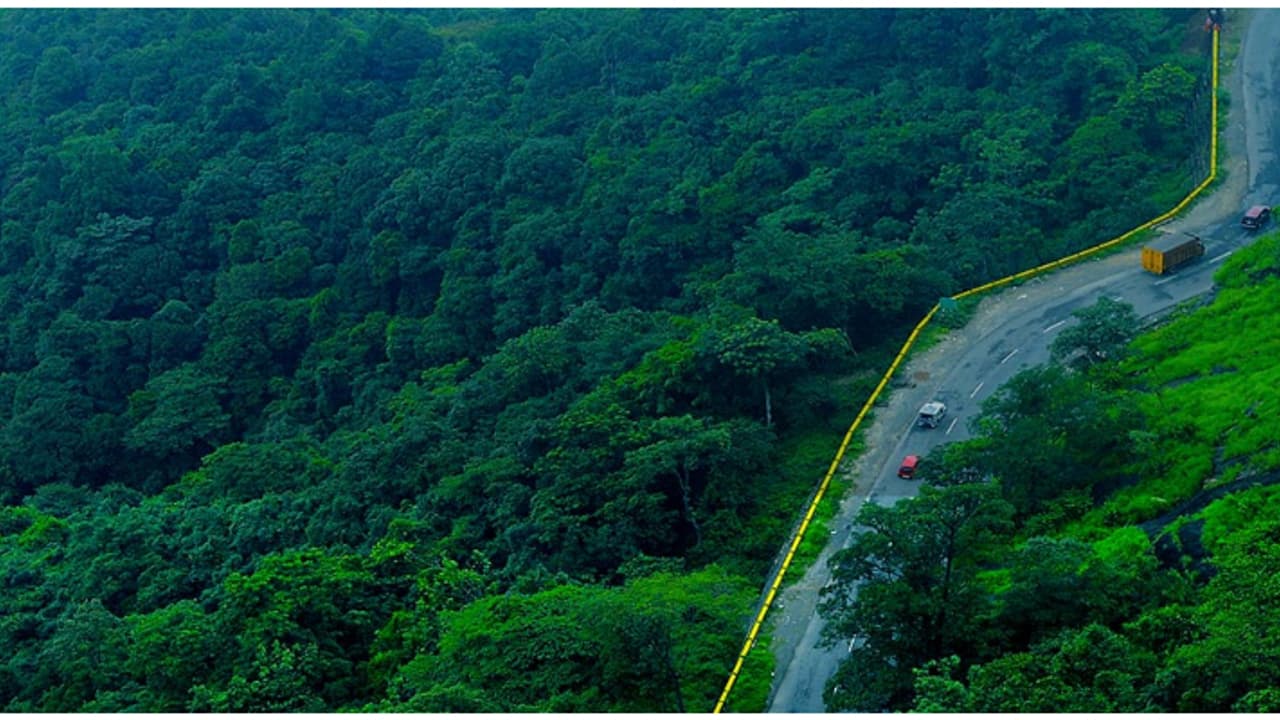 വയനാട്ടിലേയ്ക്കാണോ? സ്ഥിരം സ്പോട്ടുകൾ മാറ്റിപ്പിടിക്കാം, 5 വെറൈറ്റി പ്ലാനുകൾ ഇതാ!