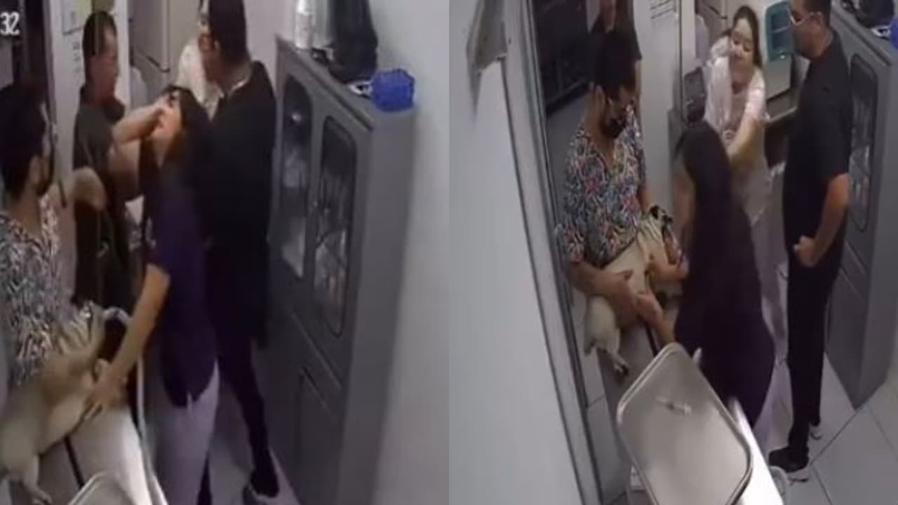 ചികിത്സയ്ക്കിടെ വളർത്തുനായ ചത്തു, ഇൻജക്ഷൻ നൽകിയ മൃഗഡോക്ടറെ മുടിക്ക് പിടിച്ച് ആക്രമിച്ച് യുവതി 