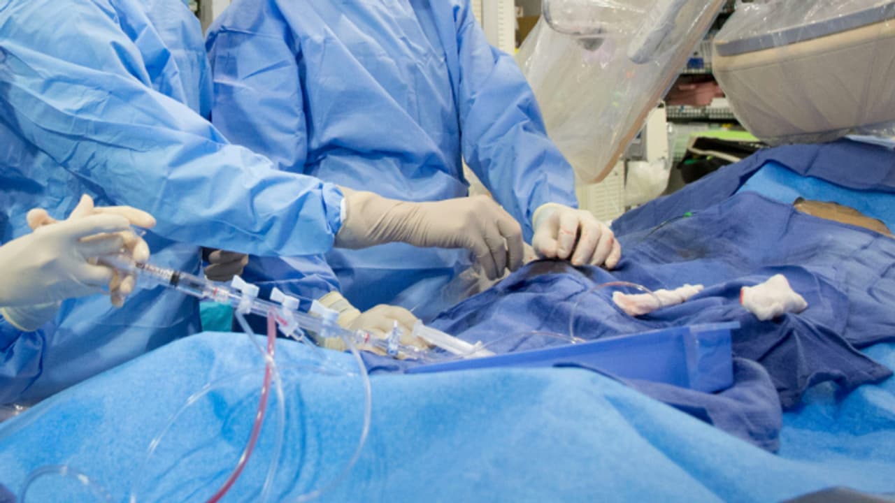 ലോകശ്രദ്ധ പിടിച്ചുവാങ്ങിയ നേട്ടവുമായി കുവൈത്ത്; അസഹനീയ നെഞ്ചുവേദന ദുരിതമായ രോഗികൾക്ക് ആസ്വാസമേകി നൂതന ചികിത്സ ലോകശ്രദ്ധ പിടിച്ചുവാങ്ങിയ നേട്ടവുമായി കുവൈത്ത്; അസഹനീയ നെഞ്ചുവേദന ദുരിതമായ രോഗികൾക്ക് ആസ്വാസമേകി നൂതന ചികിത്സ