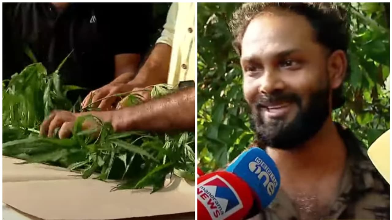 തൂക്കുപാലത്തിന് സമീപം പ്രത്യേക തരം ചെടികൾ, നെറ്റിൽ സെര്‍ച്ച് ചെയ്ത് പ്രഫുലും ഫായിസും; ഉടൻ വിളിച്ചത് പൊലീസിനെ!