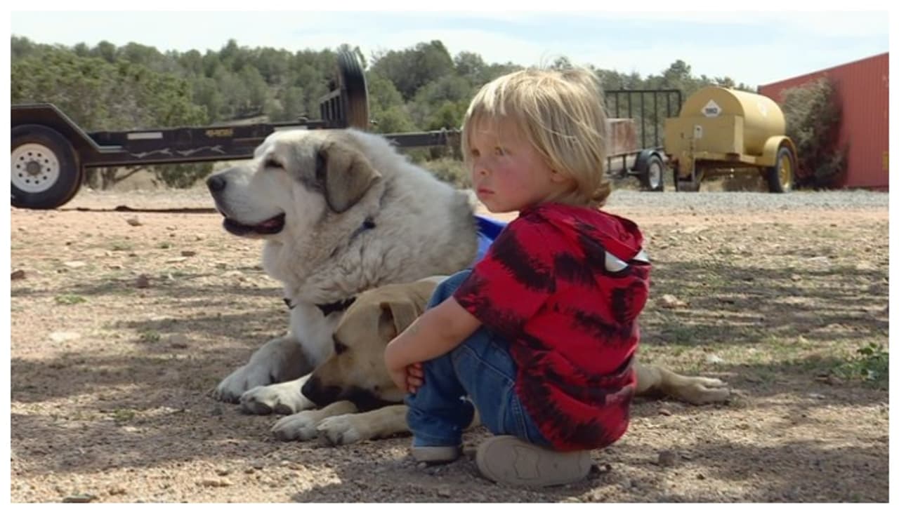 40 ഉദ്യോഗസ്ഥർ 16 മണിക്കൂർ അന്വേഷിച്ചിട്ടും കണ്ടെത്തിയില്ല, ഒടുവിൽ രണ്ട് വയസുകാരനെ കണ്ടെത്തിയത് വളർത്തുനായ ! 