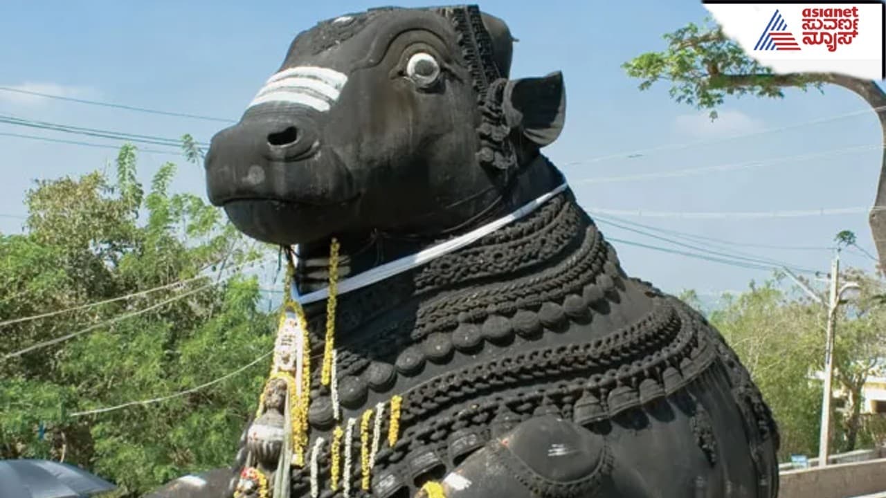 ಶಿವ ದೇವಸ್ಥಾನದಲ್ಲಿ ನಂದಿಗೆ ಕೈ ಮುಗಿಯದೇ ಹೆಜ್ಜೆ ಮುಂದಿಡಬೇಡಿ!