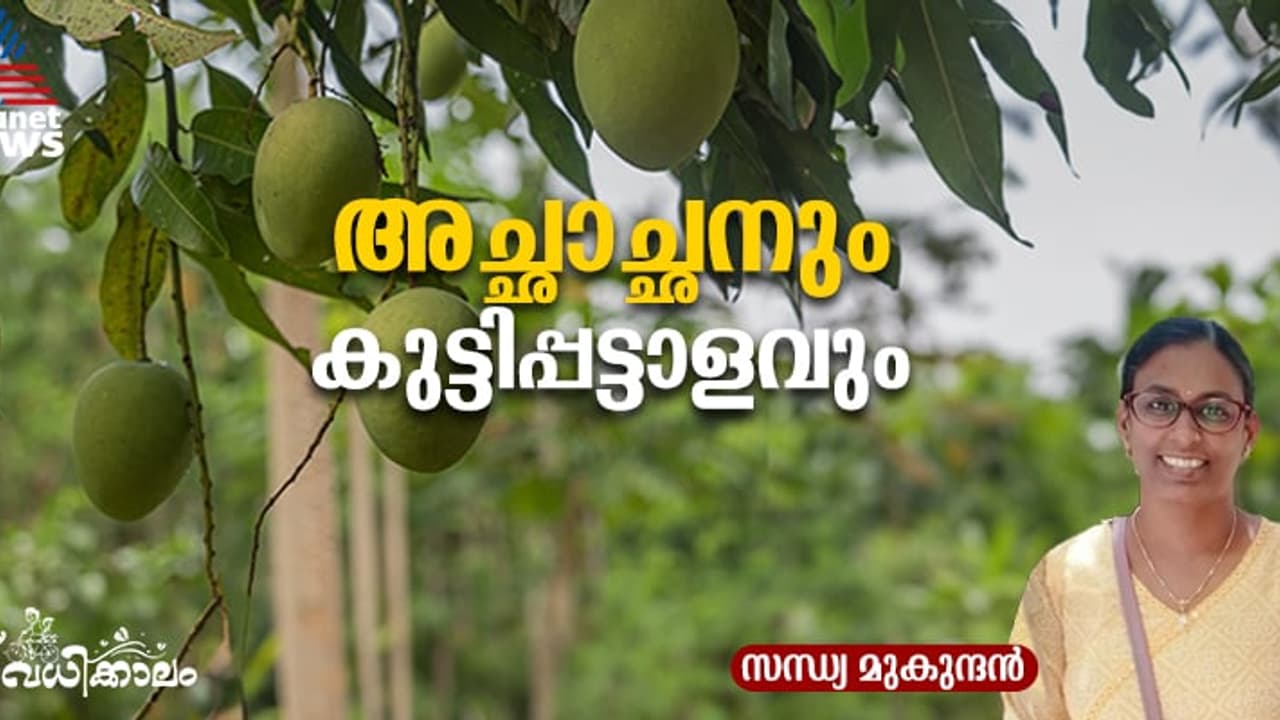 കളികള്‍, കൃഷിയിടങ്ങള്‍, തോട്ടിന്‍ വരമ്പുകള്‍, ഉത്സാഹം തുളുമ്പുന്ന ചൂടറിയാ വേനല്‍ക്കാലം!