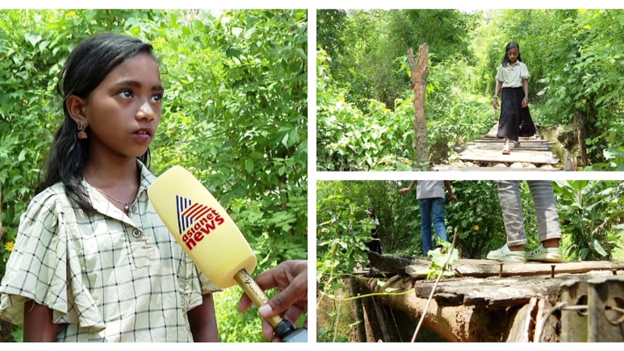 പ്രിയപ്പെട്ട കളക്ടറാന്റിക്ക് അനുശ്രീയുടെ കത്ത്; 'ജൂണിൽ പേടിയില്ലാതെ സ്കൂളിൽ പോണം, പാലം ശരിയാക്കി തരാമോ?'