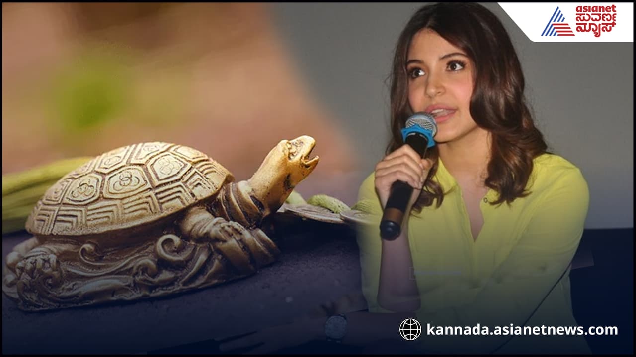 Anushka Sharma: ಟಾಪ್​ ನಟಿಯಾಗಲು ಕಾರಣ ಫೆಂಗ್ ಶೂಯಿ ಆಮೆ! ಗುಟ್ಟು ರಟ್ಟು ಮಾಡಿದ ಅನುಷ್ಕಾ ಶರ್ಮಾ