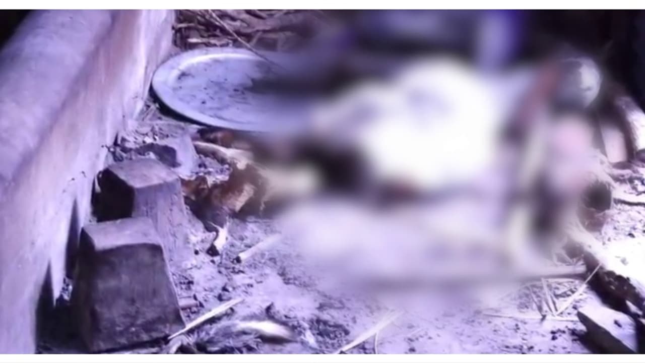 പുലർച്ചെ 3 മണിക്ക് കൂടിനുള്ളിൽ ബഹളം; കൂട്ടത്തോടെയെത്തിയ തെരുവുനായ്ക്കളുടെ ആക്രമണത്തില്‍ 4 ആടുകള്‍ ചത്തു