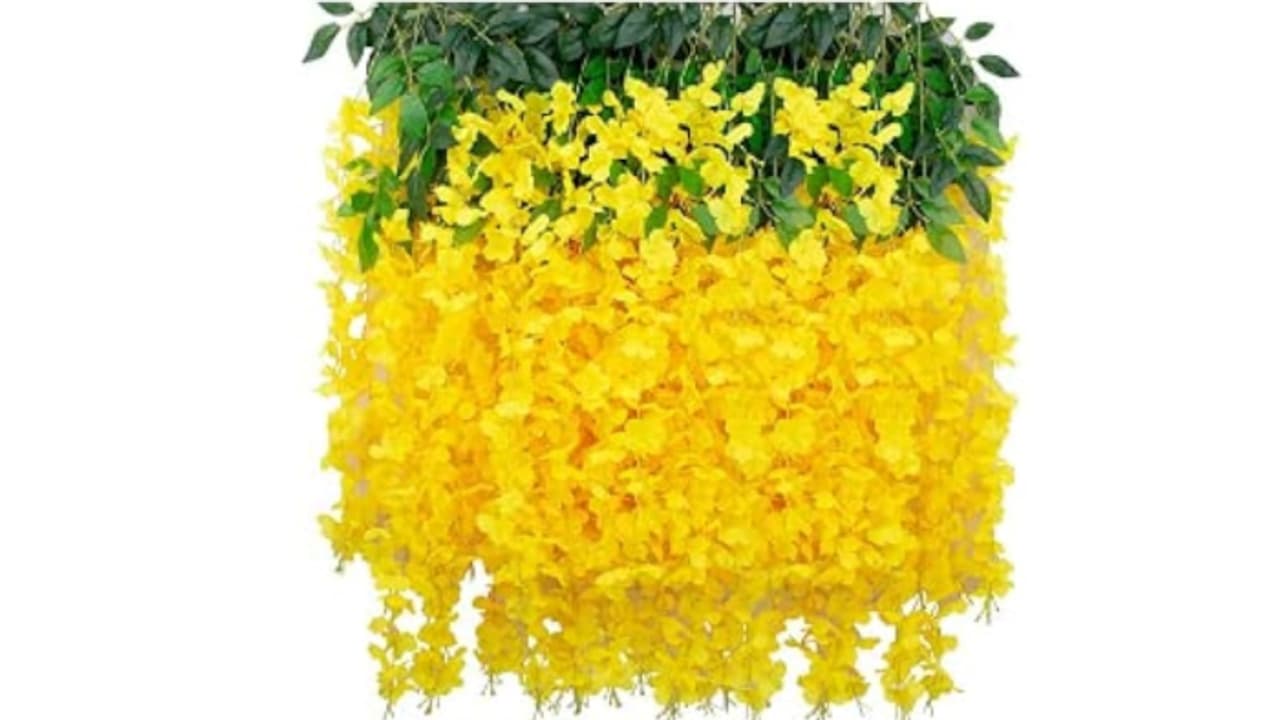 കണിവയ്ക്കാൻ വിഷുവിന് വാങ്ങിയത് പ്ലാസ്റ്റിക് കണിക്കൊന്നയാണോ? സുപ്രധാന ഇടപെടലുമായി മനുഷ്യാവകാശ കമ്മീഷന്‍ 