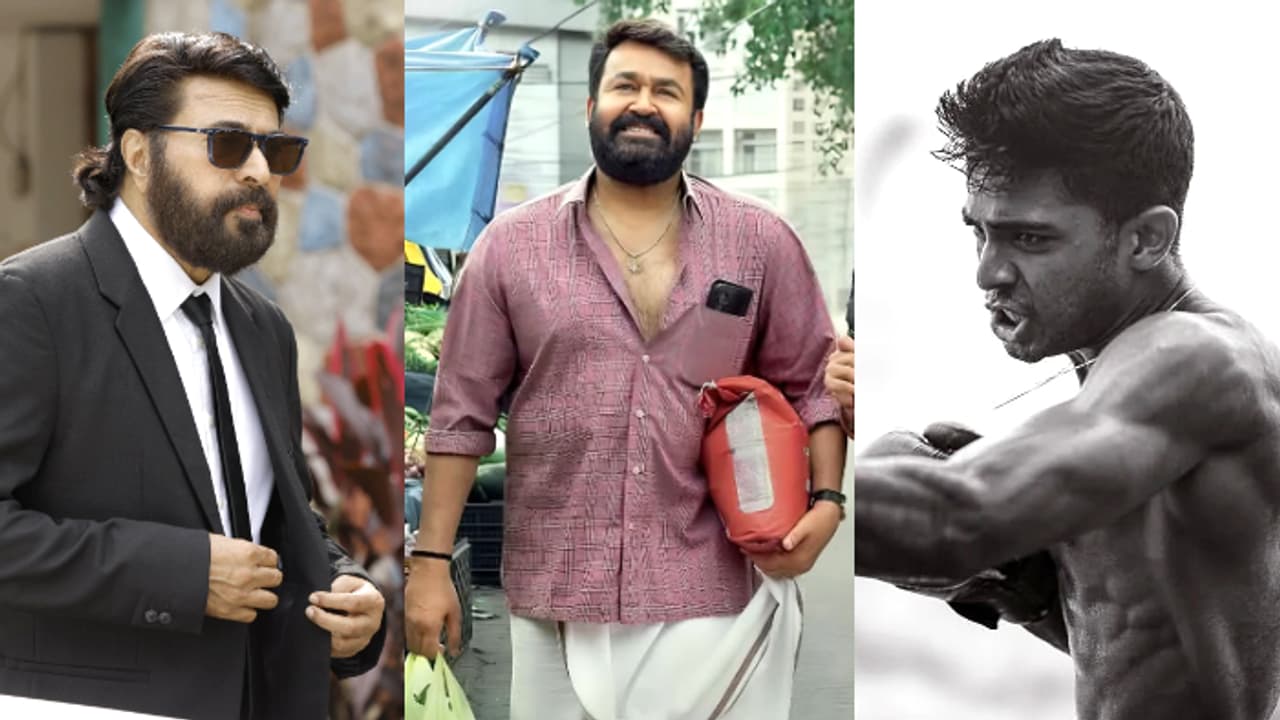 'ബസൂക്ക'യും 'ജിംഖാന'യും വീണു; പ്രീ സെയിലില് മുന്നേറ്റവുമായി 'ഷണ്മുഖന്', 'തുടരും' ഇതുവരെ നേടിയത് 'ബസൂക്ക'യും 'ജിംഖാന'യും വീണു; പ്രീ സെയിലില് മുന്നേറ്റവുമായി 'ഷണ്മുഖന്', 'തുടരും' ഇതുവരെ നേടിയത്