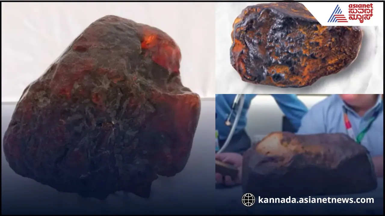 ಅಜ್ಜಿಯ ಗುಡಿಸಲಿನ ಬಾಗಲಿಗೆ ಹೊಸ್ತಿಲಾಗಿದ್ದ ಕಲ್ಲಿನ ಬೆಲೆ ₹9 ಕೋಟಿ!