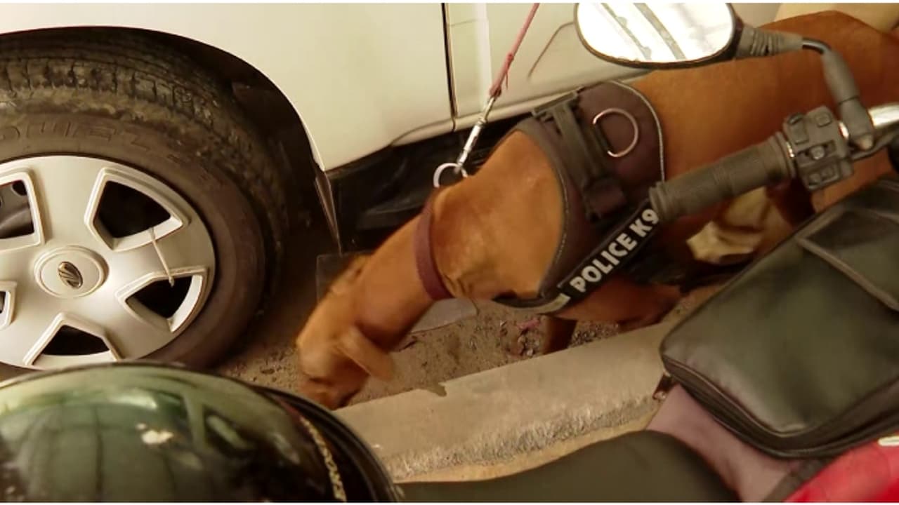 2 മണിക്ക് ബോംബ് പൊട്ടുമെന്ന് ഭീഷണി സന്ദേശം; മുഴുവൻ ജീവനക്കാരെയും പുറത്തിറക്കി പാലക്കാട് കളക്ട്രേറ്റിൽ പരിശോധന 2 മണിക്ക് ബോംബ് പൊട്ടുമെന്ന് ഭീഷണി സന്ദേശം; മുഴുവൻ ജീവനക്കാരെയും പുറത്തിറക്കി പാലക്കാട് കളക്ട്രേറ്റിൽ പരിശോധന