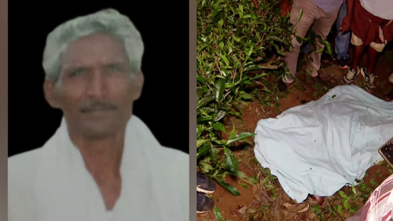 ബന്ധുക്കൾ തമിഴ്നാട്ടിൽ നിന്ന് എത്തണം, കാട്ടാനയാക്രമണത്തിൽ മരിച്ച അറുമുഖന്റെ പോസ്റ്റ്മോർട്ടം വൈകും ബന്ധുക്കൾ തമിഴ്നാട്ടിൽ നിന്ന് എത്തണം, കാട്ടാനയാക്രമണത്തിൽ മരിച്ച അറുമുഖന്റെ പോസ്റ്റ്മോർട്ടം വൈകും