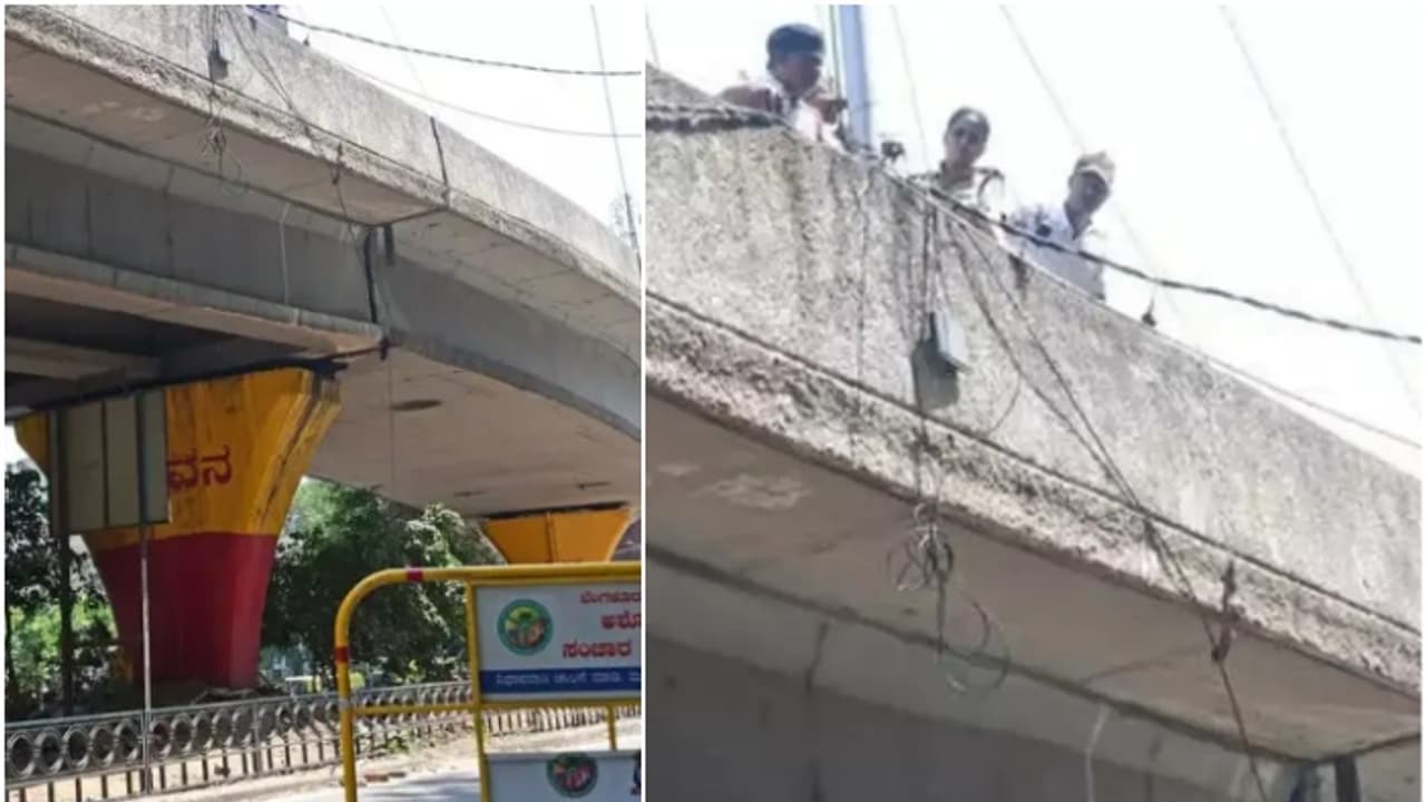 പുലർച്ചെ 3.45ന് ബൈക്കിൽ പോവുകയായിരുന്ന വിദ്യാർത്ഥികൾ ഫ്ലൈ ഓവറിൽ നിന്ന് താഴേക്ക് വീണു, ഒരാൾ മരിച്ചു പുലർച്ചെ 3.45ന് ബൈക്കിൽ പോവുകയായിരുന്ന വിദ്യാർത്ഥികൾ ഫ്ലൈ ഓവറിൽ നിന്ന് താഴേക്ക് വീണു, ഒരാൾ മരിച്ചു