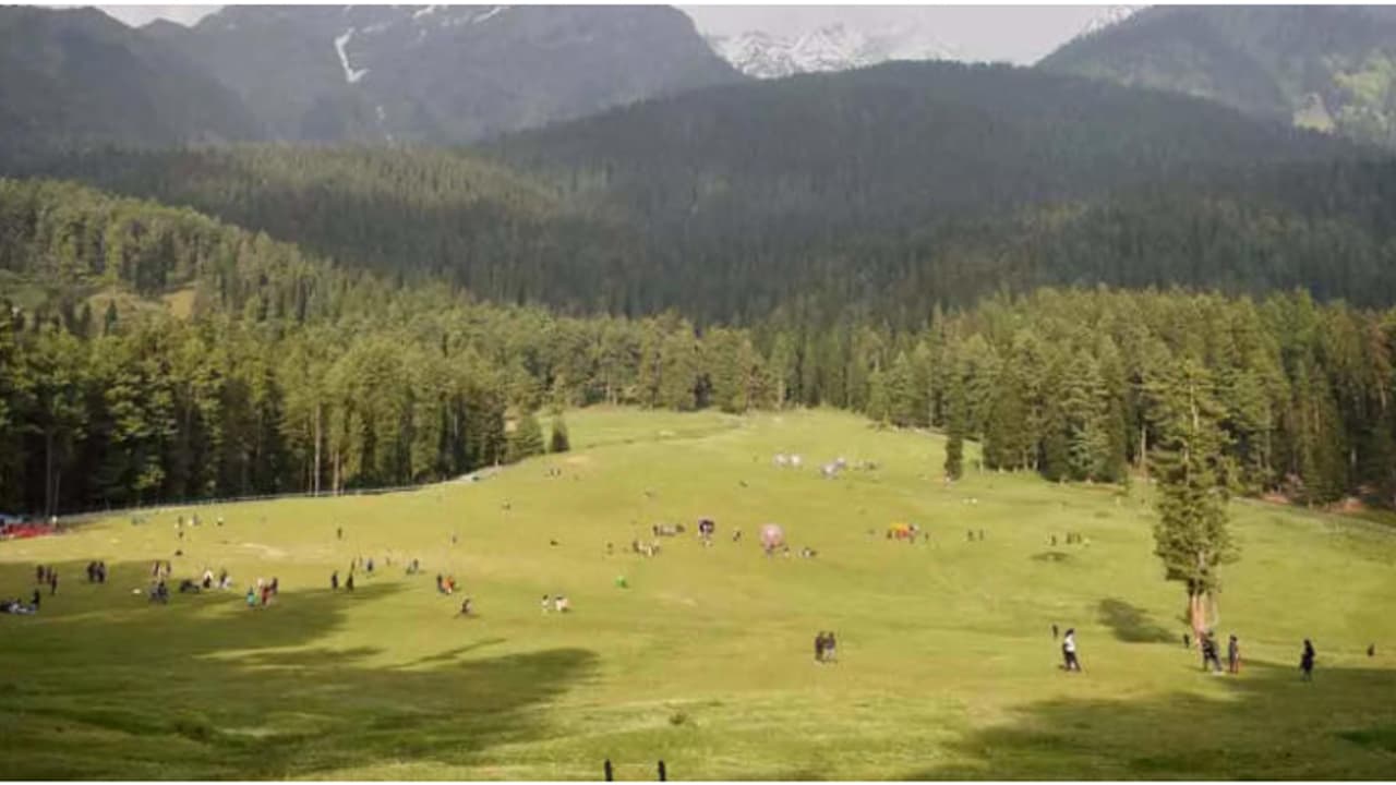 പഹൽഗാം ഭീകരാക്രമണം; ദില്ലിയിലെ പാകിസ്ഥാനി പൗരൻമാരെ കണ്ടെത്താൻ പൊലീസ്, അന്വേഷണം ഊർജിതമാക്കി എൻഐഎ പഹൽഗാം ഭീകരാക്രമണം; ദില്ലിയിലെ പാകിസ്ഥാനി പൗരൻമാരെ കണ്ടെത്താൻ പൊലീസ്, അന്വേഷണം ഊർജിതമാക്കി എൻഐഎ