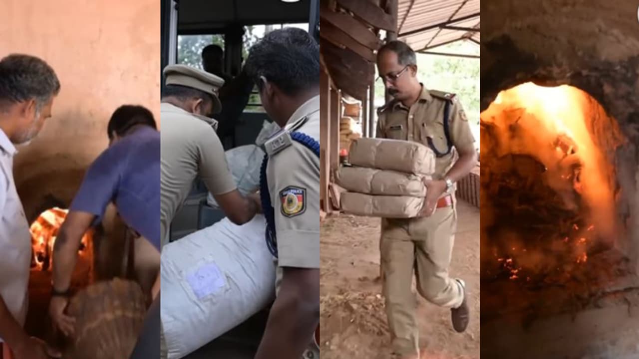 248 കിലോ കഞ്ചാവ്, 28.84 ഗ്രാം എംഡിഎംഎ, 13 ഗ്രാം മെത്ത്; എല്ലാം ഓട്ടുകമ്പനിയിലെ ചൂളയിലിട്ട് കത്തിച്ച് പൊലീസ് 248 കിലോ കഞ്ചാവ്, 28.84 ഗ്രാം എംഡിഎംഎ, 13 ഗ്രാം മെത്ത്; എല്ലാം ഓട്ടുകമ്പനിയിലെ ചൂളയിലിട്ട് കത്തിച്ച് പൊലീസ്