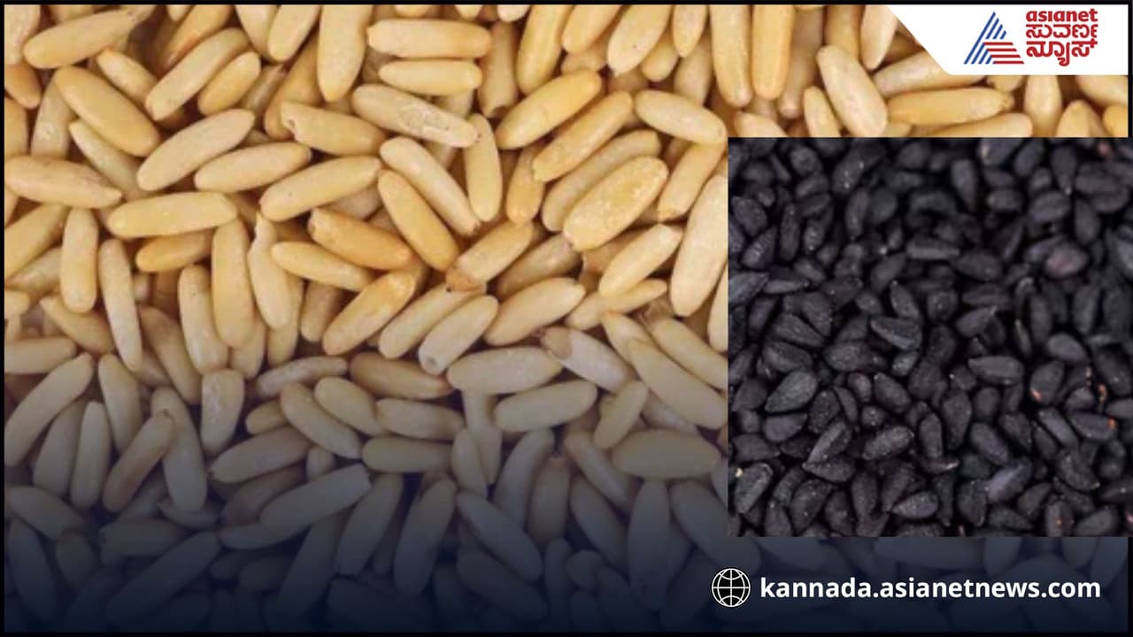 ಈ ಬೀಜಗಳು ಕೋಳಿ, ಕುರಿ ಮಾಂಸಕ್ಕಿಂತ 10 ಪಟ್ಟು ಹೆಚ್ಚು ಶಕ್ತಿಶಾಲಿ! ಈ ಬೀಜಗಳು ಕೋಳಿ, ಕುರಿ ಮಾಂಸಕ್ಕಿಂತ 10 ಪಟ್ಟು ಹೆಚ್ಚು ಶಕ್ತಿಶಾಲಿ!