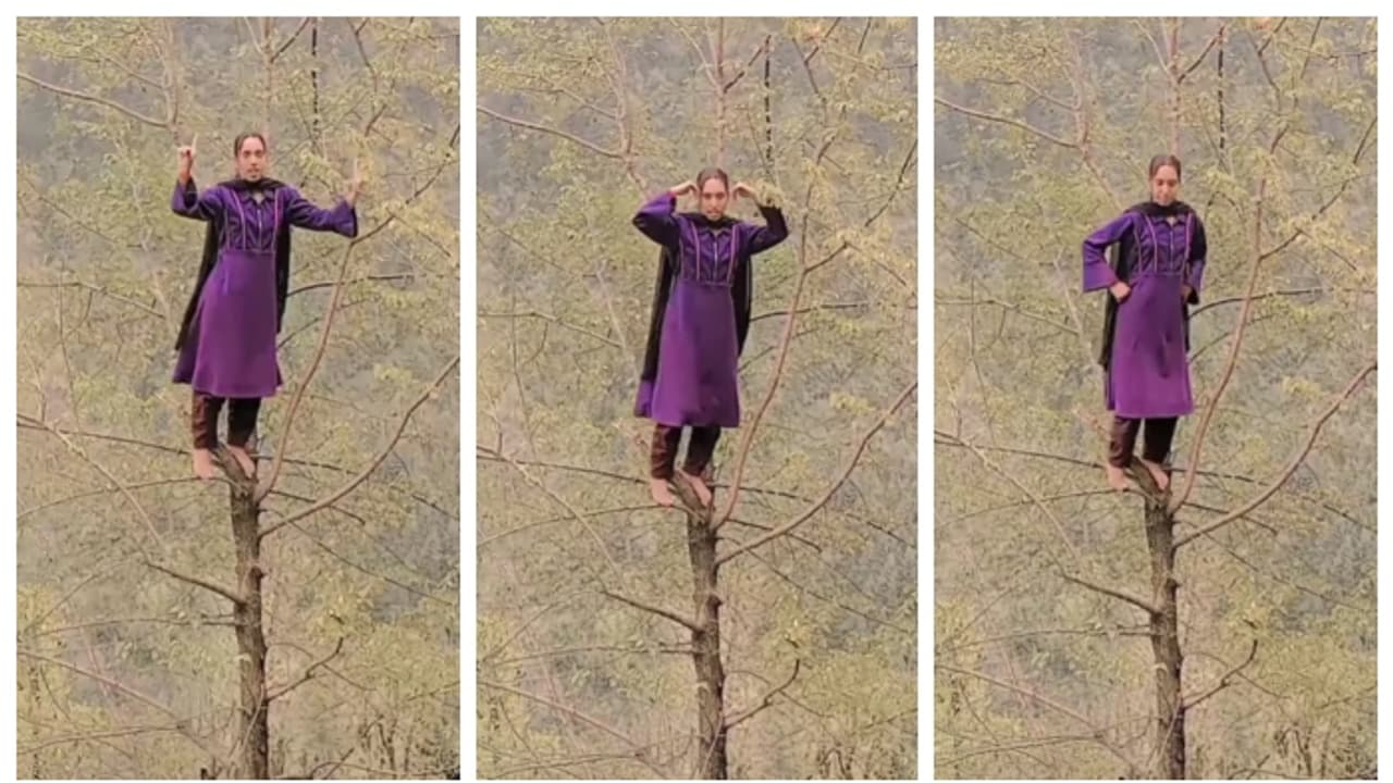 മരത്തിന്‍റെ ഏറ്റവും മുകളില്‍ നിന്ന് 'കൈവിട്ട' നൃത്തം; കശ്മീരി യുവതിയുടെ വീഡിയോ വൈറൽ 