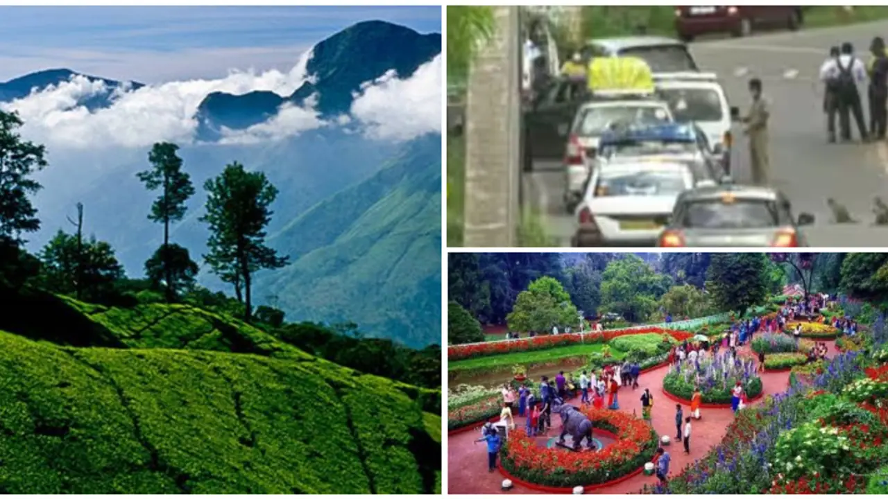 യാത്രകൾ 'തുടരും'; ഊട്ടിയിലും കൊടൈക്കനാലിലും കൂടുതൽ വാഹനങ്ങൾക്ക് പ്രവേശനം അനുവദിച്ചു യാത്രകൾ 'തുടരും'; ഊട്ടിയിലും കൊടൈക്കനാലിലും കൂടുതൽ വാഹനങ്ങൾക്ക് പ്രവേശനം അനുവദിച്ചു