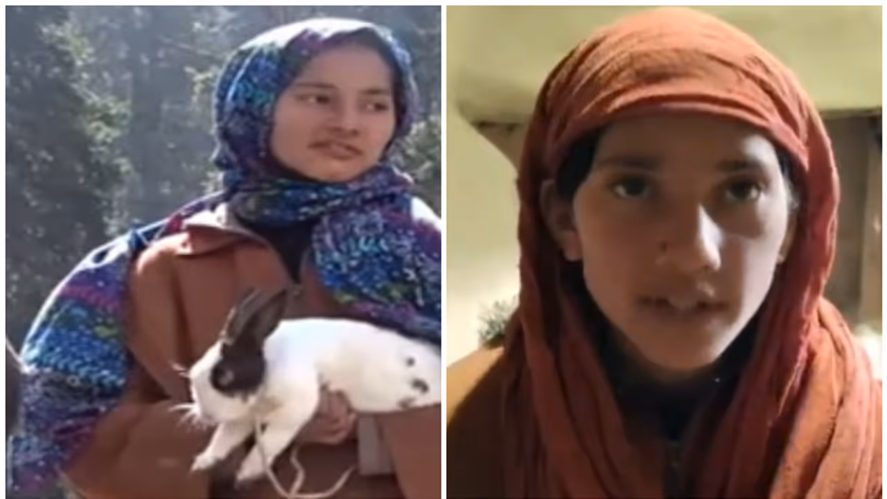 ധീരതയുടെ പ്രതീകമായി 'റാബിറ്റ് ഗേൾ'; സ്വന്തം സുരക്ഷ വകവെയ്ക്കാതെ സഞ്ചാരികളെ സുരക്ഷിതരാക്കി, മണ്കുടിലിൽ അഭയമേകി ധീരതയുടെ പ്രതീകമായി 'റാബിറ്റ് ഗേൾ'; സ്വന്തം സുരക്ഷ വകവെയ്ക്കാതെ സഞ്ചാരികളെ സുരക്ഷിതരാക്കി, മണ്കുടിലിൽ അഭയമേകി