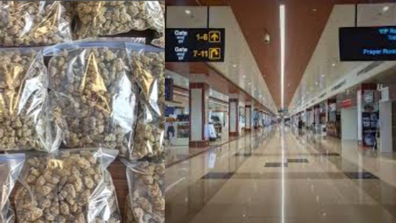 കേരളത്തിൽ നിന്ന് വിദേശത്തേക്ക് ഇതാദ്യം, കൊച്ചി ടു റാസൽഖൈമ; കടത്താൻ ശ്രമിച്ചത് അഞ്ചര കോടിയുടെ ഹൈബ്രിഡ് കഞ്ചാവ്