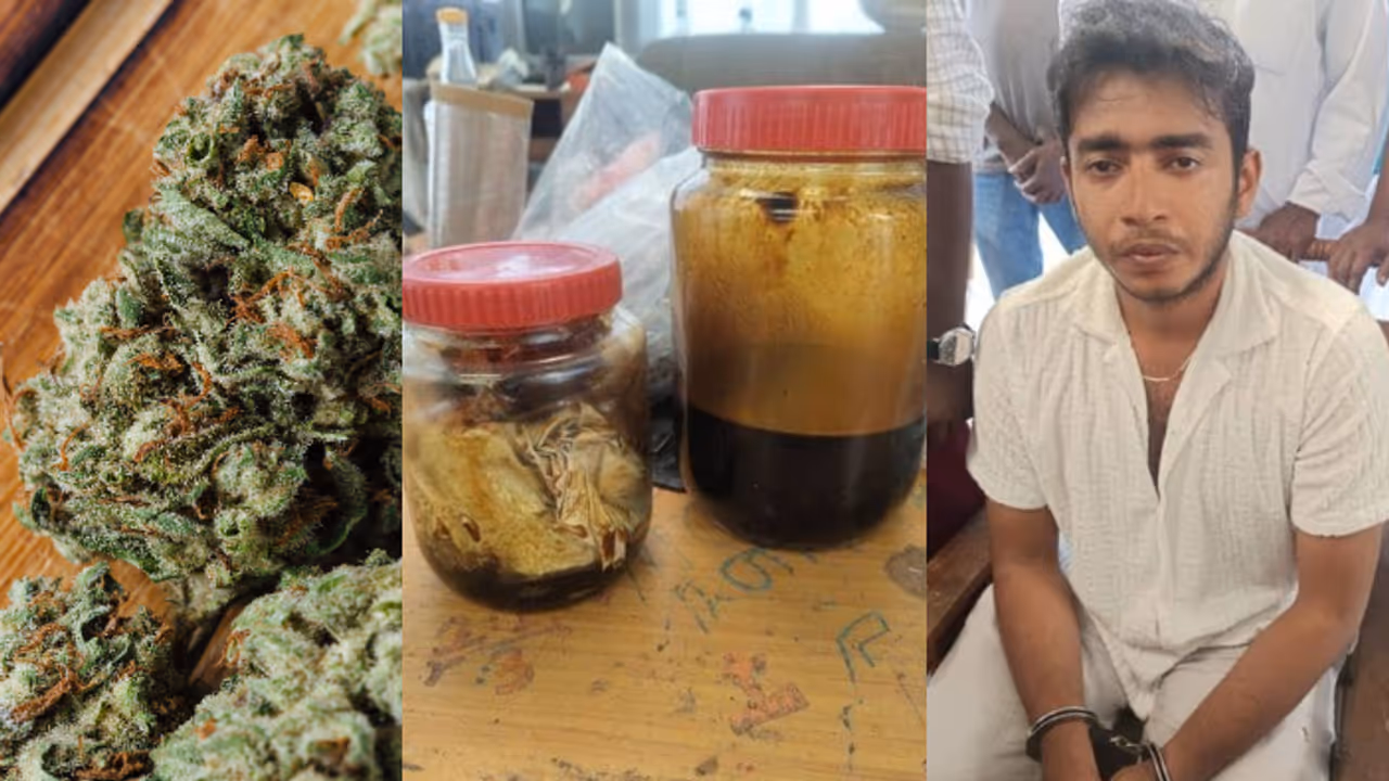 പൂന്തുറയിലെ 27കാരൻ, കുടുങ്ങുമെന്ന് കരുതിയില്ല; വീട്ടിലെ ഷെഡ്ഡിൽ കുപ്പിയിൽ ഒളിപ്പിച്ചത് ഹാഷിഷ് ഓയിലും കഞ്ചാവും