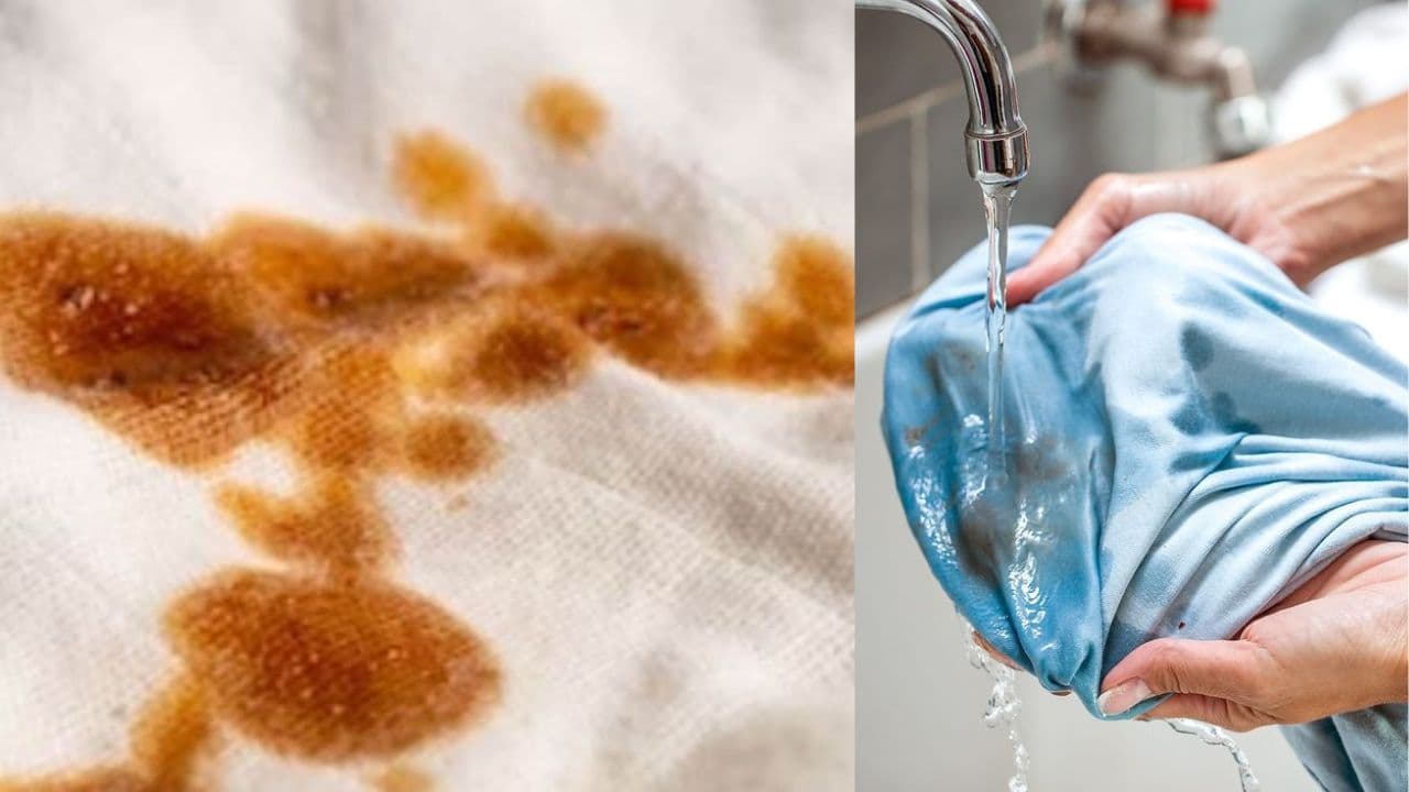 remove cloth stian remove cloth stian