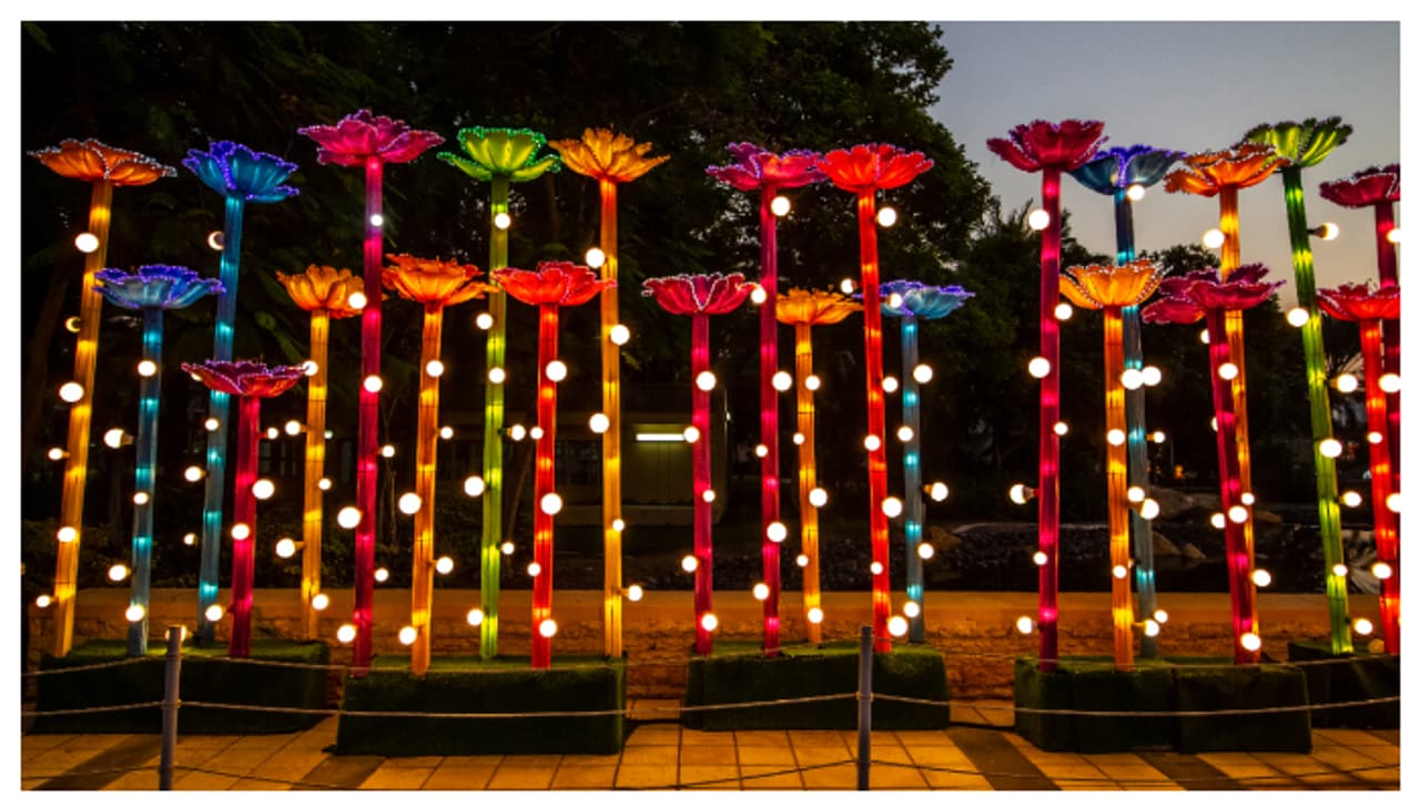 വിനോദസഞ്ചാരികളുടെ ഇഷ്ട സ്ഥലം, ദുബൈയിലെ പ്രധാന ആകർഷണം 10 വർഷത്തിന് ശേഷം അടച്ചു, ഇനി പുതിയ ഇടം വിനോദസഞ്ചാരികളുടെ ഇഷ്ട സ്ഥലം, ദുബൈയിലെ പ്രധാന ആകർഷണം 10 വർഷത്തിന് ശേഷം അടച്ചു, ഇനി പുതിയ ഇടം