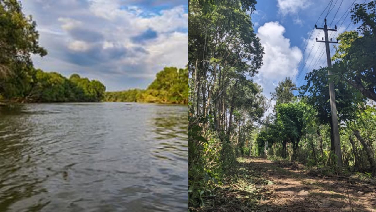 Coorg (Kodagu)