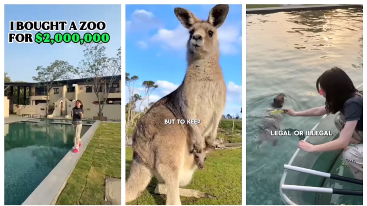 'കൈയില്‍ കാശുണ്ടോ എല്ലാം നിയമപരം'; കൈക്കൂലി നൽകി സ്വന്തം വീട്ടില്‍ 17 കോടിക്ക് മൃഗശാല പണിതു; കേസ്