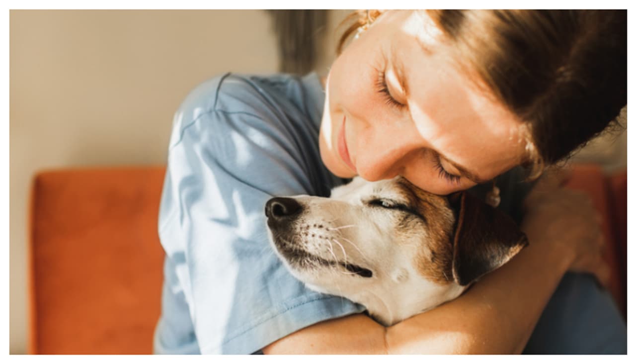 മൃഗങ്ങൾ നിങ്ങളുടെ ആരോഗ്യത്തെ മെച്ചപ്പെടുത്തുന്നു; എങ്ങനെയെന്നല്ലേ? ഇങ്ങനെ തന്നെ 