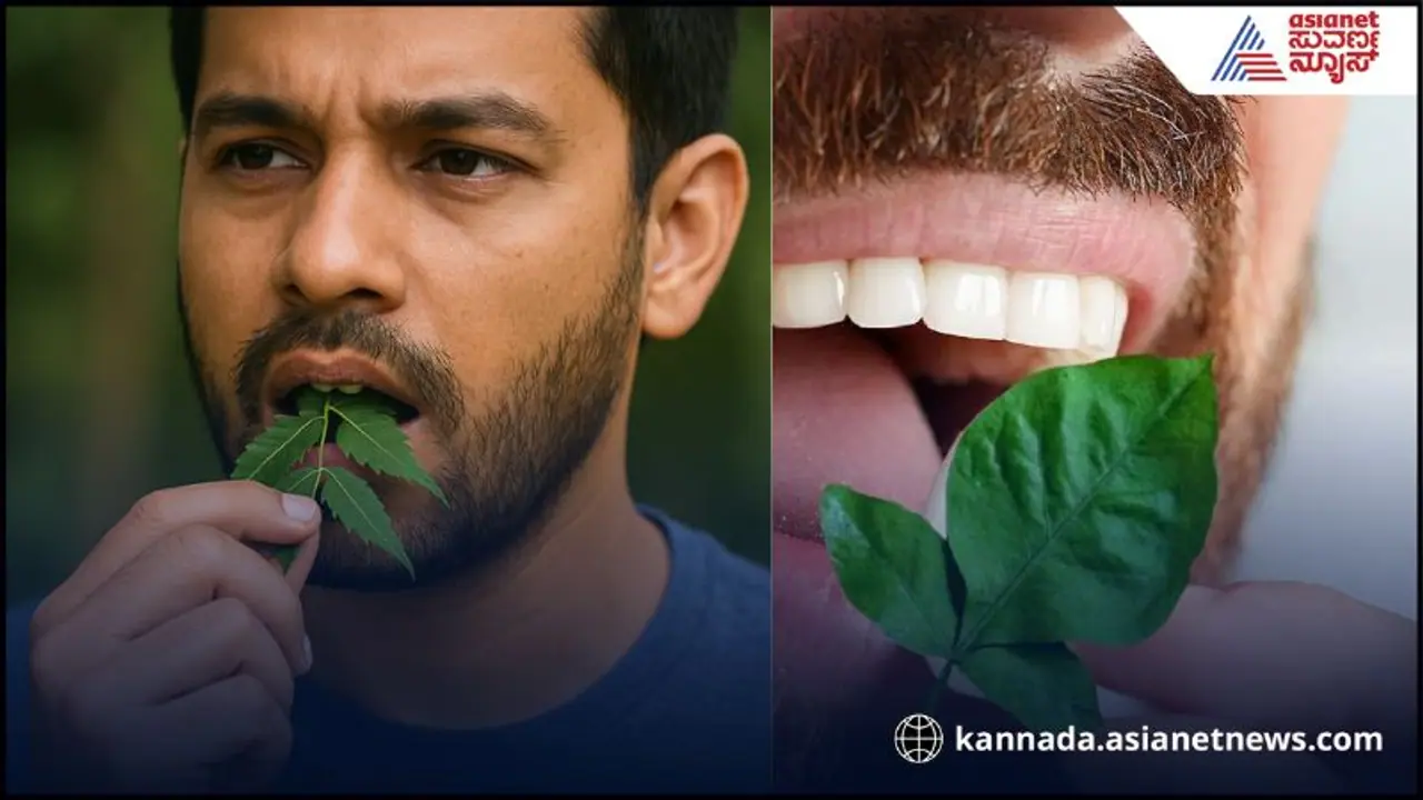 ಬೆಡ್ ಟೀ ಬದಲು ಹಾಸಿಗೆಯಲ್ಲೇ ಈ ಎಲೆ ತಿಂದ್ರೆ ಕೊಬ್ಬು ಹೋಗುತ್ತೆ, ಶುಗರ್ ದೂರ ಬೆಡ್ ಟೀ ಬದಲು ಹಾಸಿಗೆಯಲ್ಲೇ ಈ ಎಲೆ ತಿಂದ್ರೆ ಕೊಬ್ಬು ಹೋಗುತ್ತೆ, ಶುಗರ್ ದೂರ