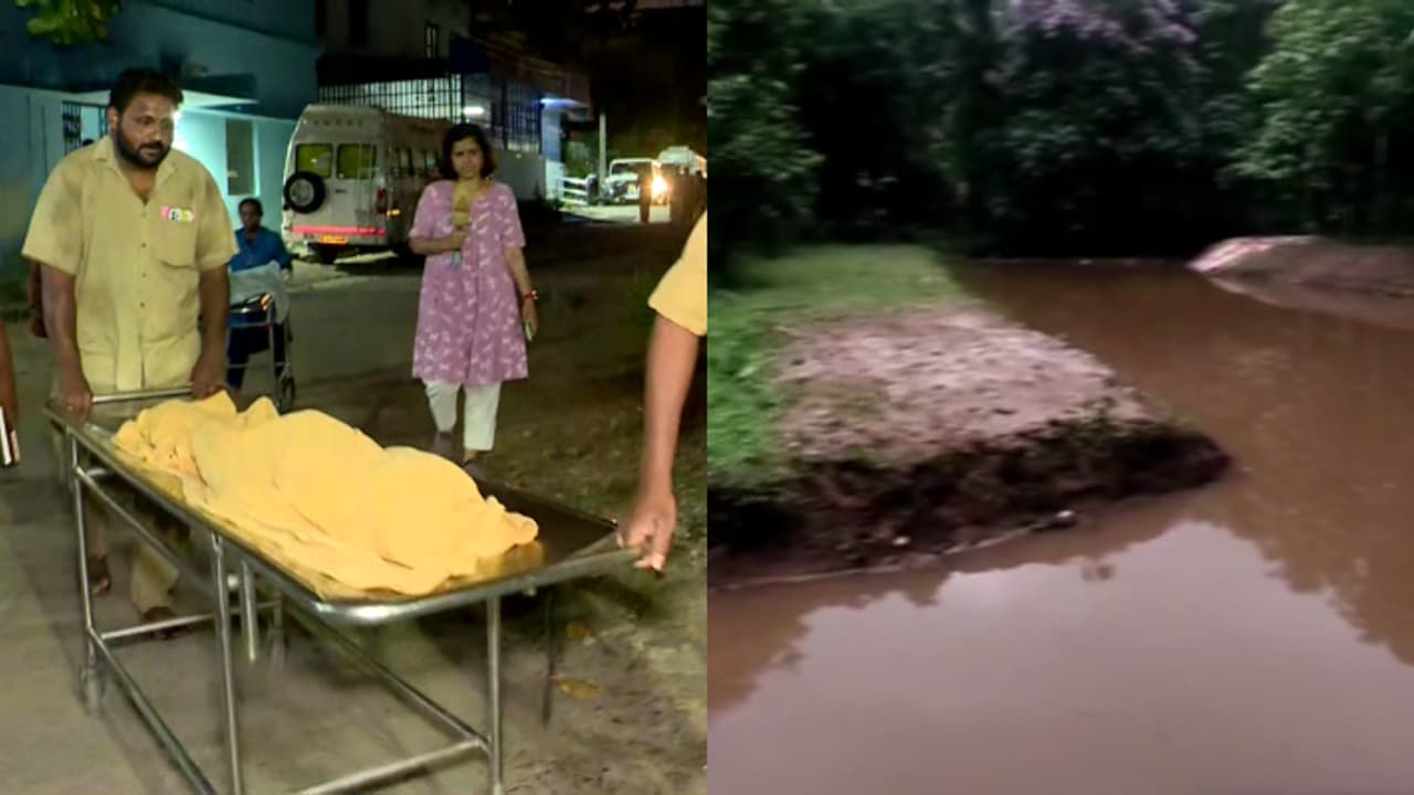 സഹോദരങ്ങളായ ഏഴും ആറും നാലും വയസുള്ള മൂന്ന് പിഞ്ചോമനകൾ ചിറയിൽ മരിച്ച നിലയിൽ; സംഭവം പാലക്കാട്