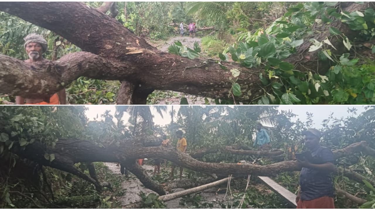 തലസ്ഥാനത്തിൻ്റെ മലയോര മേഖലയിൽ കനത്ത കാറ്റും മഴയും വിതച്ചത് വൻ നാശനഷ്ടം, 500 ഓളം മരങ്ങൾ കടപുഴകി, വൈദ്യുതി തകരാർ തലസ്ഥാനത്തിൻ്റെ മലയോര മേഖലയിൽ കനത്ത കാറ്റും മഴയും വിതച്ചത് വൻ നാശനഷ്ടം, 500 ഓളം മരങ്ങൾ കടപുഴകി, വൈദ്യുതി തകരാർ