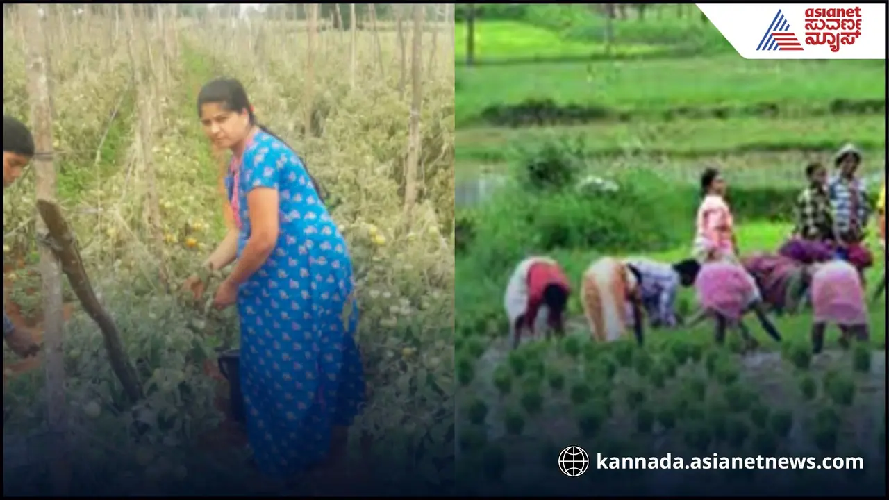 ಕೃಷಿ ಮಾಡಿಕೊಂಡೇ ₹15 ಲಕ್ಷ ಗಳಿಸ್ತಾರೆ ಈ ದಂಪತಿ! ನೀವು ರೈತರೇ? ಆಸಕ್ತಿ ಇದ್ದರೆ ಸಂಪರ್ಕಿಸಿ ಇಲ್ಲಿದೆ ನಂಬರ್!