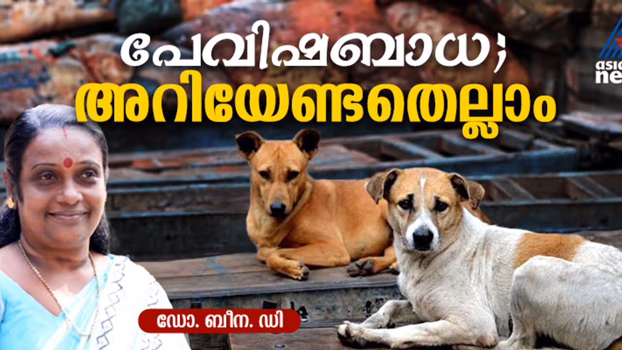 ' 90% പേവിഷബാധയും ഉണ്ടാകുന്നത് നായ്ക്കൾ മുഖേന' ; പേവിഷബാധ : മുൻകരുതലും ലക്ഷണങ്ങളും 