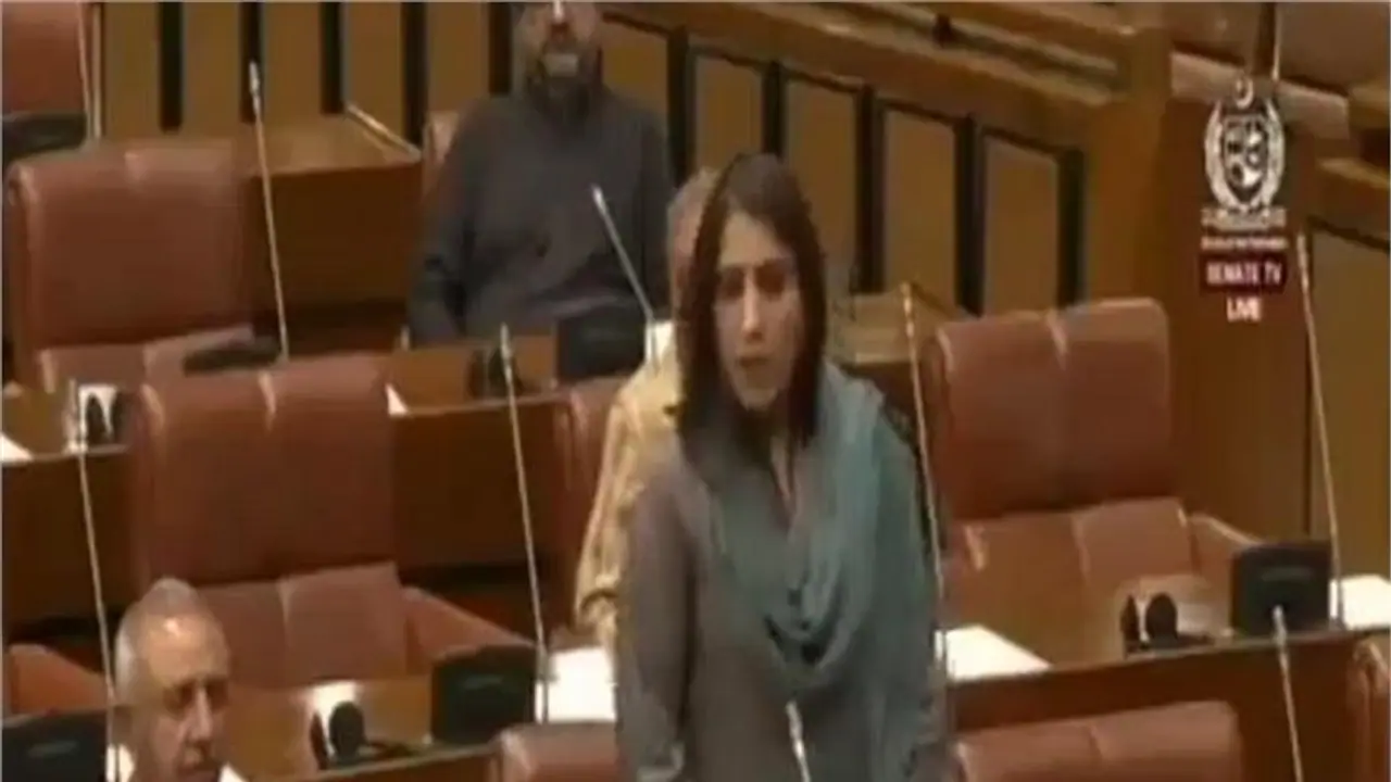 ಅಯೋಧ್ಯೆಯಲ್ಲಿ ಬಾಬ್ರಿ ಮಸೀದಿಯ ಮೊದಲ ಕಲ್ಲನ್ನು ಪಾಕ್‌ ಯೋಧರು ಇಡಲಿದ್ದಾರೆ: ಪಾಕ್‌ ಸೆನೆಟರ್‌