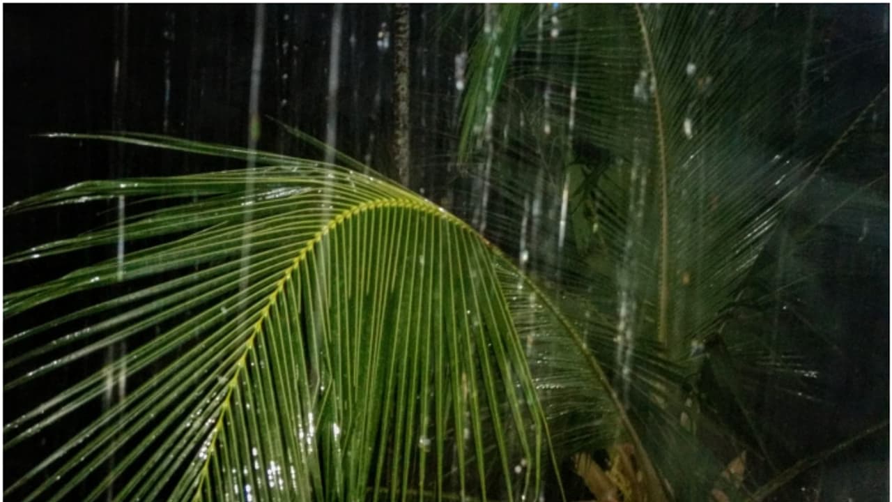 അതീവ ജാഗ്രത വേണം, 60 കിലോമീറ്റർ വരെ വേഗതയിൽ കാറ്റിന് സാധ്യത; ഈ 5 ജില്ലകളിൽ അടുത്ത 3 മണിക്കൂർ ഓറഞ്ച് അലർട്ട് അതീവ ജാഗ്രത വേണം, 60 കിലോമീറ്റർ വരെ വേഗതയിൽ കാറ്റിന് സാധ്യത; ഈ 5 ജില്ലകളിൽ അടുത്ത 3 മണിക്കൂർ ഓറഞ്ച് അലർട്ട്