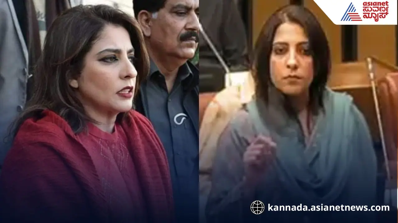 ನಾವು ಬಳೆ ತೊಟ್ಟಿಲ್ಲ, ಬಾಬ್ರಿ ಮಸೀದಿ ಬಗ್ಗೆ ಮಾತನಾಡಿದ ಪಾಕಿಸ್ತಾನಿ ಸೆನೆಟರ್ ಯಾರು?