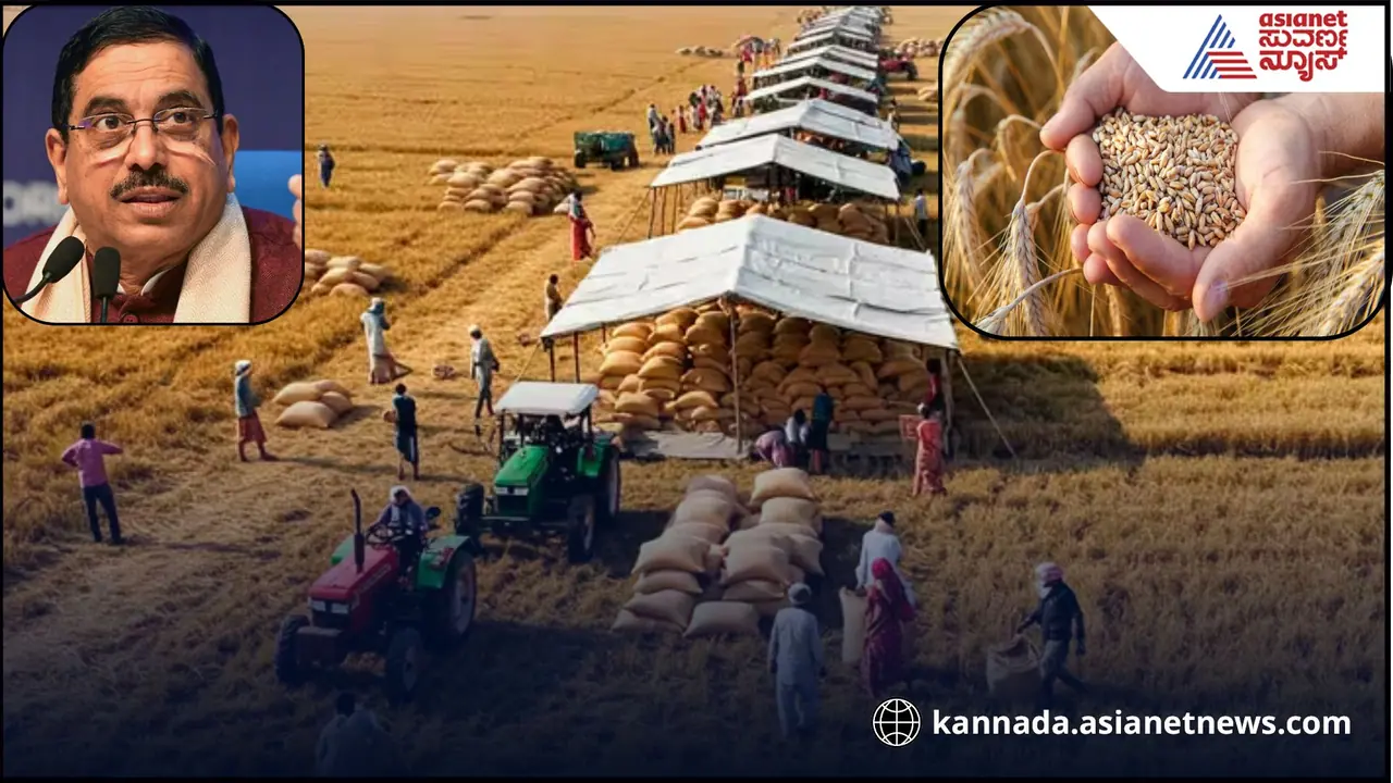 256 ಲಕ್ಷ ಮೆಟ್ರಿಕ್ ಟನ್ ಗೋಧಿ ಸಂಗ್ರಹಿಸಿದ ಕೇಂದ್ರ ಸರ್ಕಾರ; ಹೆಚ್ಚುವರಿ ಶೇ.24 ಗೋಧಿ ಖರೀದಿಗೆ ಅಸ್ತು! 256 ಲಕ್ಷ ಮೆಟ್ರಿಕ್ ಟನ್ ಗೋಧಿ ಸಂಗ್ರಹಿಸಿದ ಕೇಂದ್ರ ಸರ್ಕಾರ; ಹೆಚ್ಚುವರಿ ಶೇ.24 ಗೋಧಿ ಖರೀದಿಗೆ ಅಸ್ತು!