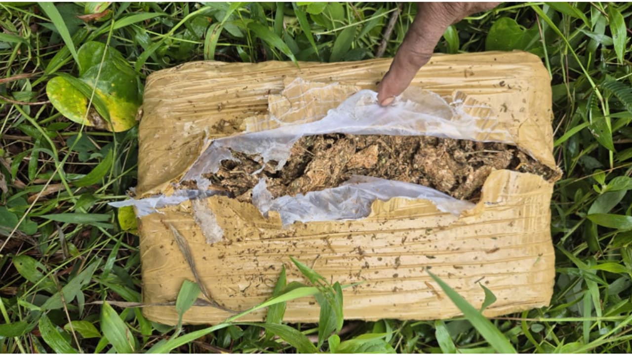 പൊലീസിനെ കണ്ട് ഉപേക്ഷിച്ചതോ? കോഴിക്കോട് രാമനാട്ടുകരയിൽ റോഡിനോട് ചേർന്നുള്ള ഒഴിഞ്ഞ പറമ്പിൽ കണ്ടെത്തിയത് കഞ്ചാവ്