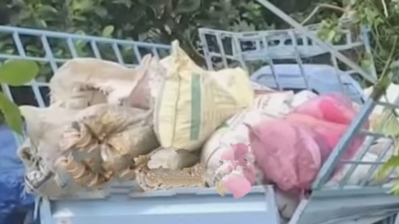 ഹരിതകർമസേനയുടെ മാലിന്യം കയറ്റി വണ്ടിയെടുത്തു, പെട്ടെന്ന് ഡ്രൈവറുടെ കഴുത്തിൽ ചുറ്റി പാമ്പ്, അപകടത്തിൽ പരിക്ക് ഹരിതകർമസേനയുടെ മാലിന്യം കയറ്റി വണ്ടിയെടുത്തു, പെട്ടെന്ന് ഡ്രൈവറുടെ കഴുത്തിൽ ചുറ്റി പാമ്പ്, അപകടത്തിൽ പരിക്ക്