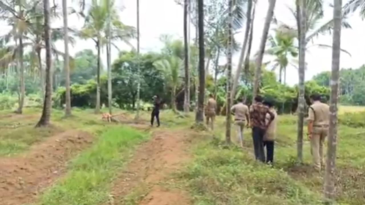 'കുളിച്ചിറങ്ങിയപ്പോൾ ആരോ ഒരാൾ ഷെൽഫിൽ പരതുന്നു', മാസ്ക് ധരിച്ച് പിൻവാതിൽ വഴി കയറി വയോധികയെ ആക്രമിച്ച് കവര്ച്ച 'കുളിച്ചിറങ്ങിയപ്പോൾ ആരോ ഒരാൾ ഷെൽഫിൽ പരതുന്നു', മാസ്ക് ധരിച്ച് പിൻവാതിൽ വഴി കയറി വയോധികയെ ആക്രമിച്ച് കവര്ച്ച