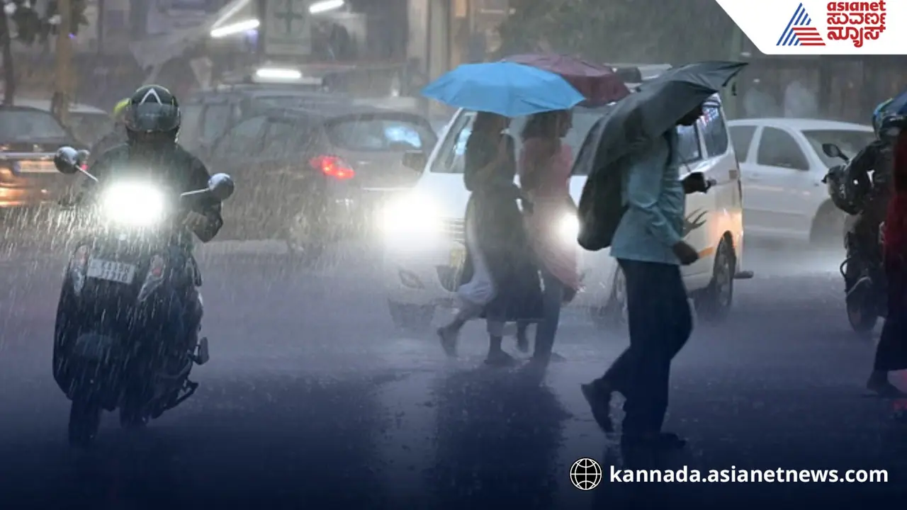 Yellow alert : ಮೈಸೂರು, ಕೊಡಗು ಸೇರಿ 4 ಜಿಲ್ಲೆಗಳಲ್ಲಿ ಇಂದು ಭಾರೀ ಮಳೆ!