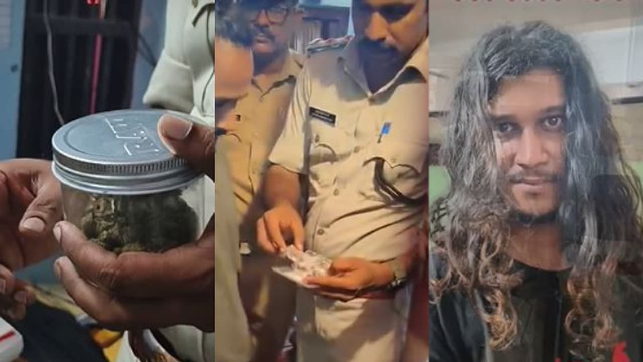 കൊല്ലത്തെ യുവാവ്, പരിശോധനയിൽ കിട്ടിയത് വിദേശ രാജ്യങ്ങളിലുള്ള 'വൈറ്റ് റാന്റ്'സടക്കം വെറൈറ്റി ഹൈബ്രിഡ് കഞ്ചാവ് കൊല്ലത്തെ യുവാവ്, പരിശോധനയിൽ കിട്ടിയത് വിദേശ രാജ്യങ്ങളിലുള്ള 'വൈറ്റ് റാന്റ്'സടക്കം വെറൈറ്റി ഹൈബ്രിഡ് കഞ്ചാവ്